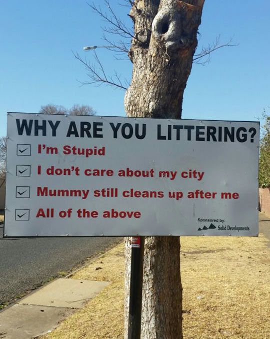 no littering